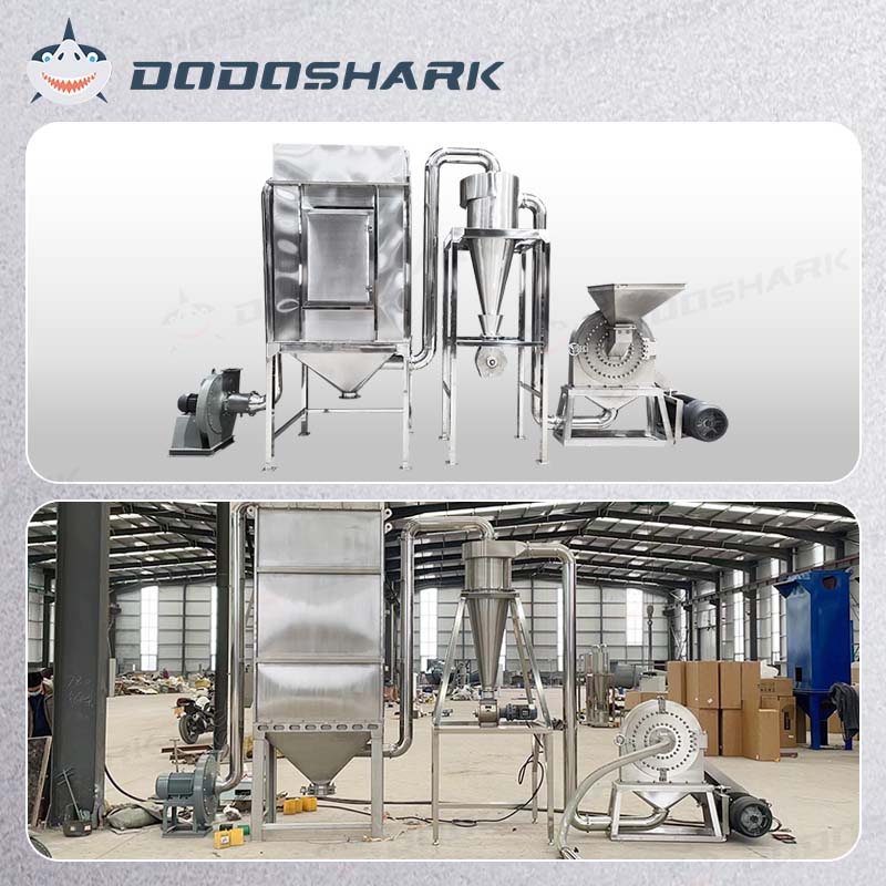 Dodoshark Commercial Stainless Steel Self - Priming Grinder | Tooth Disc Mill for Spices, Grains, TCM, Rice - Dodoshark